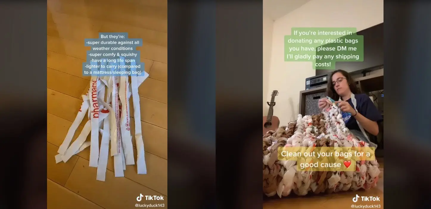 Image credit: TikTok | @luckyduck143