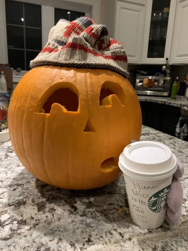 Image credit: Reddit | zimmbo