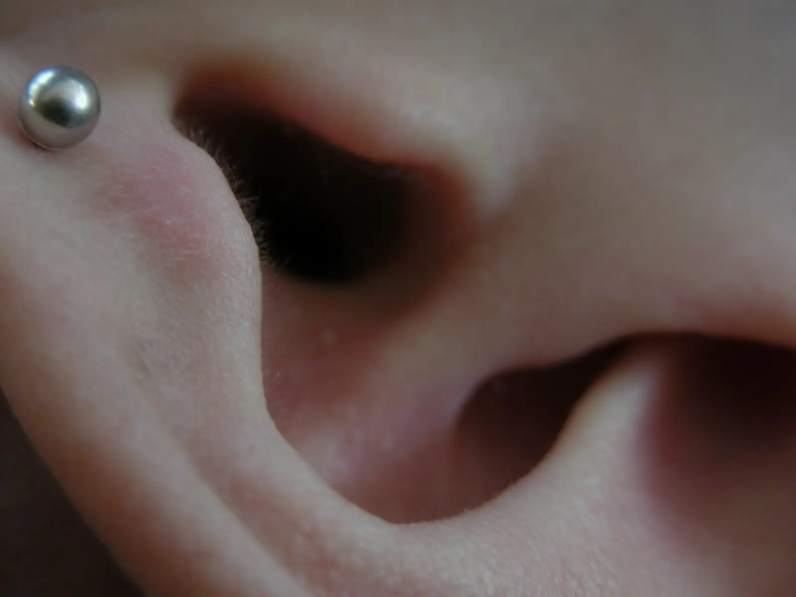 Image credit: https://commons.wikimedia.org/wiki/File:2003-09-28_Human_ear_with_piercing_(macro).jpg