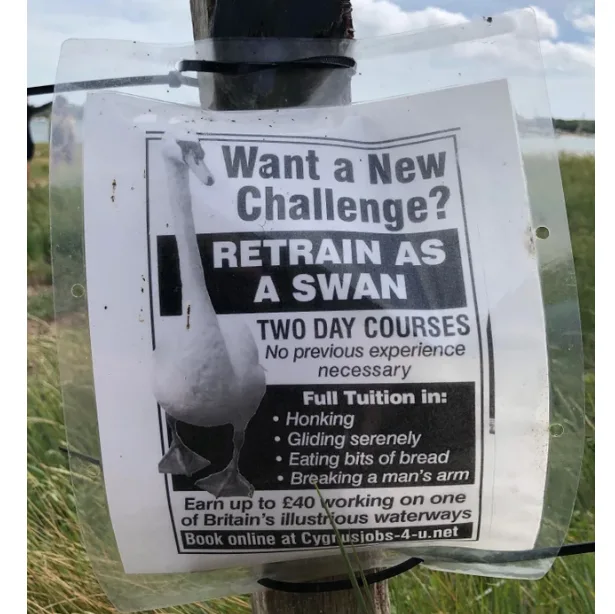Image credit: Reddit | buxtonra