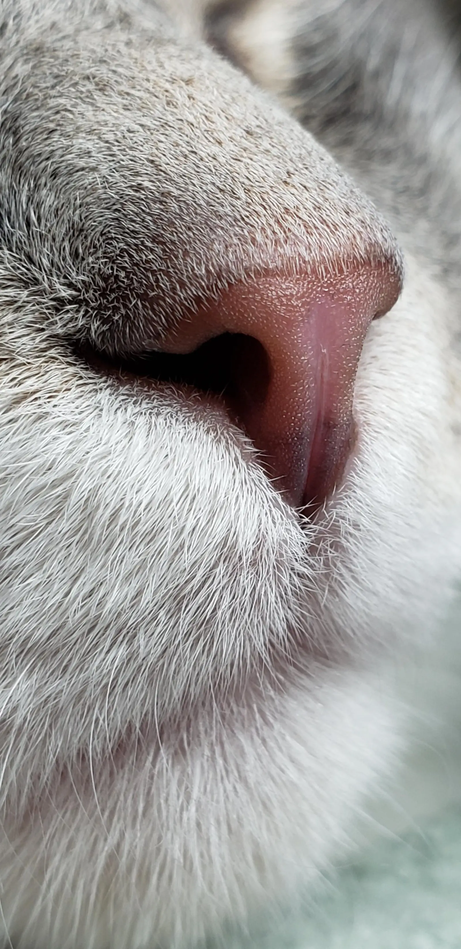 Image credit: Reddit | Milkman99614