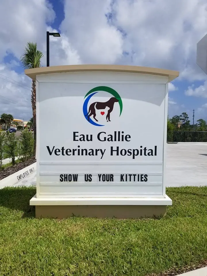 Image credit: Facebook | Eau Gallie Veterinary Hospital
