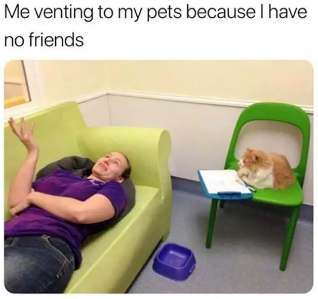 Image credit: Instagram | @meme.w0rld