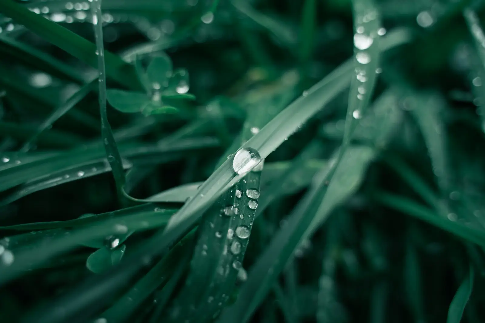 Image credit: Unsplash | Riccardo Pitzalis