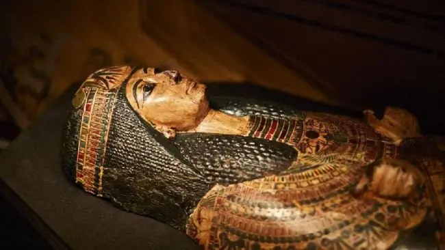 Image credit: Leeds Museums and Galleries