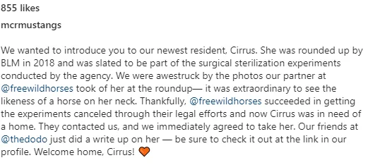 Image credit: Instagram | @mcrmustangs