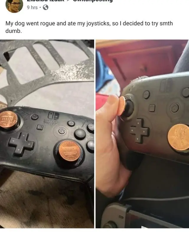 Image credit: Reddit | usernamecloi