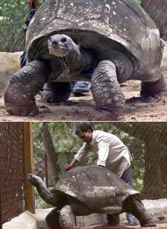 Image credit: Reddit | SonOfAShepherd2000