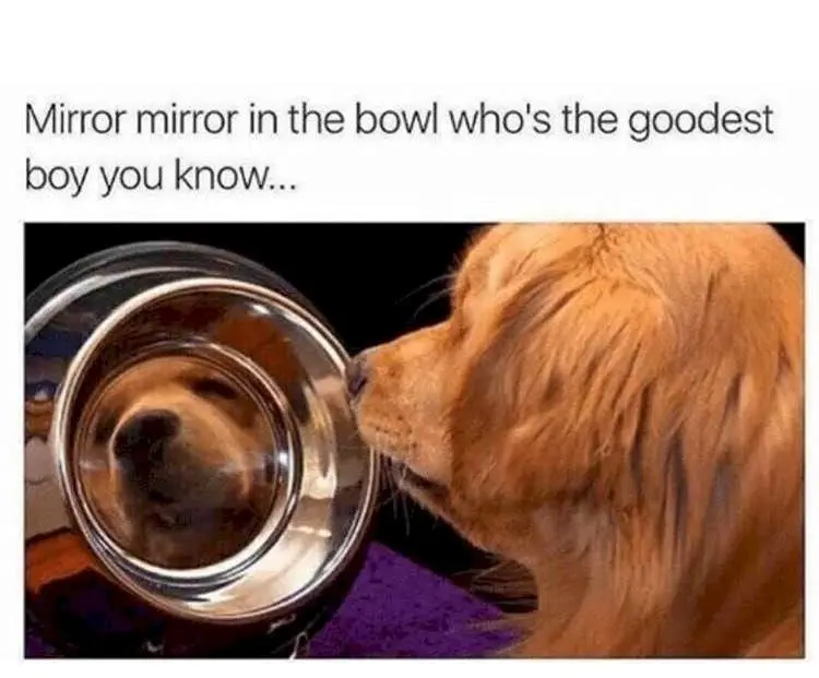 Image credit: Know Your Meme | Know Your Meme