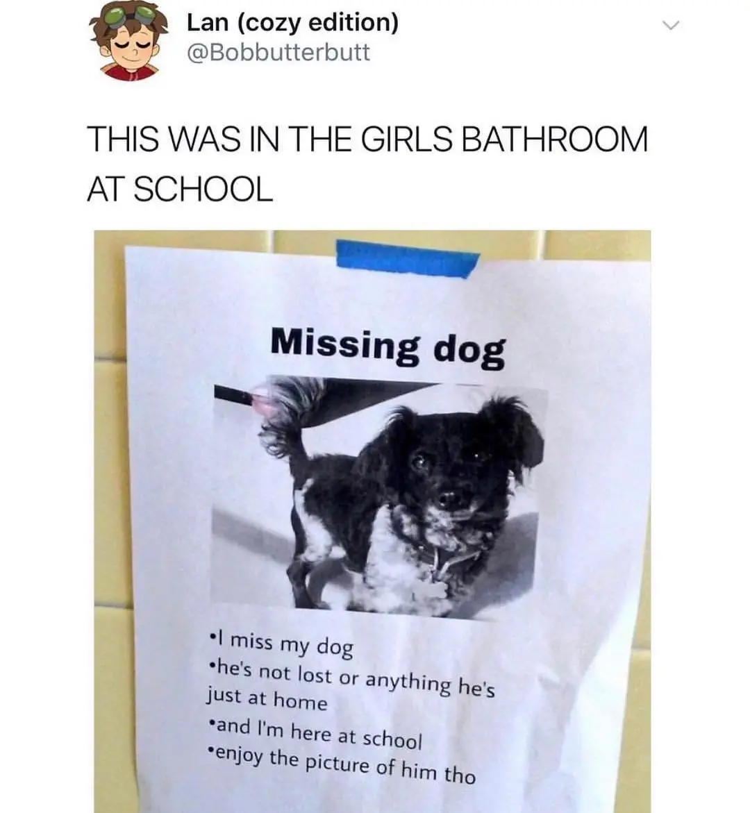 Image credit: Twitter | @Bobbutterbutt