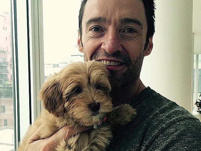 Image credit: Instagram | @thehughjackman