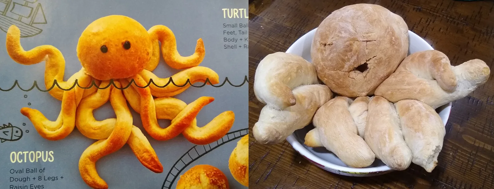Image credit: Reddit | pupypup2