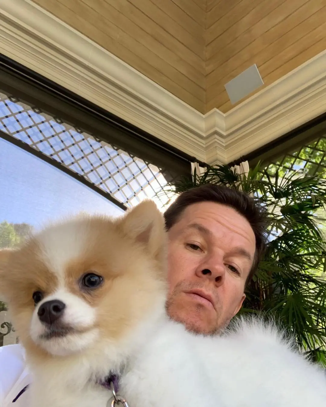 Image credit: Instagram | @markwahlberg