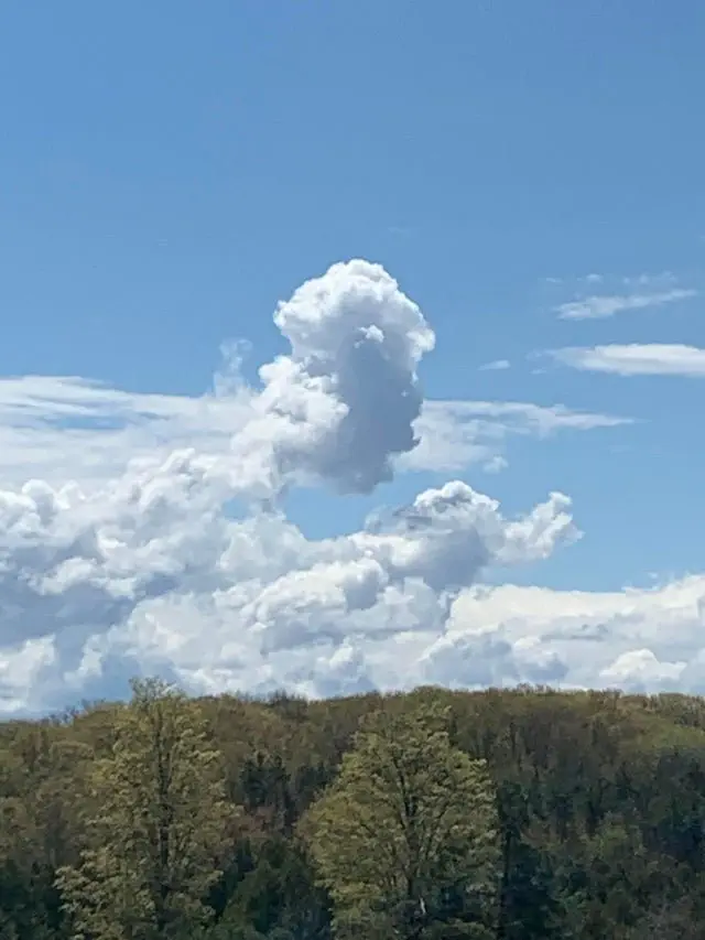 Image credit: Reddit | 101dnj