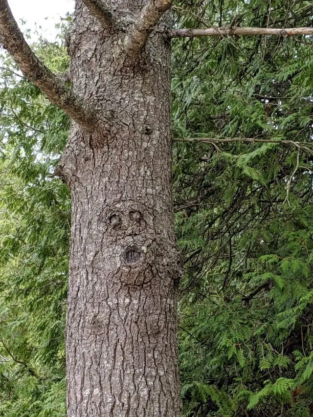Image credit: Reddit | fudgedundee