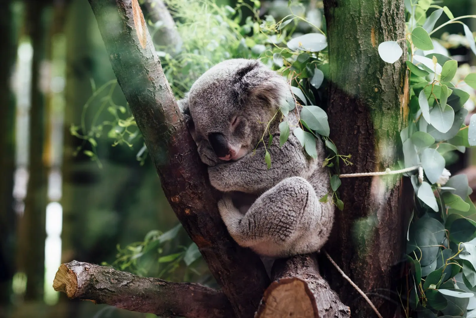 Image credit: Unsplash | Jordan Whitt