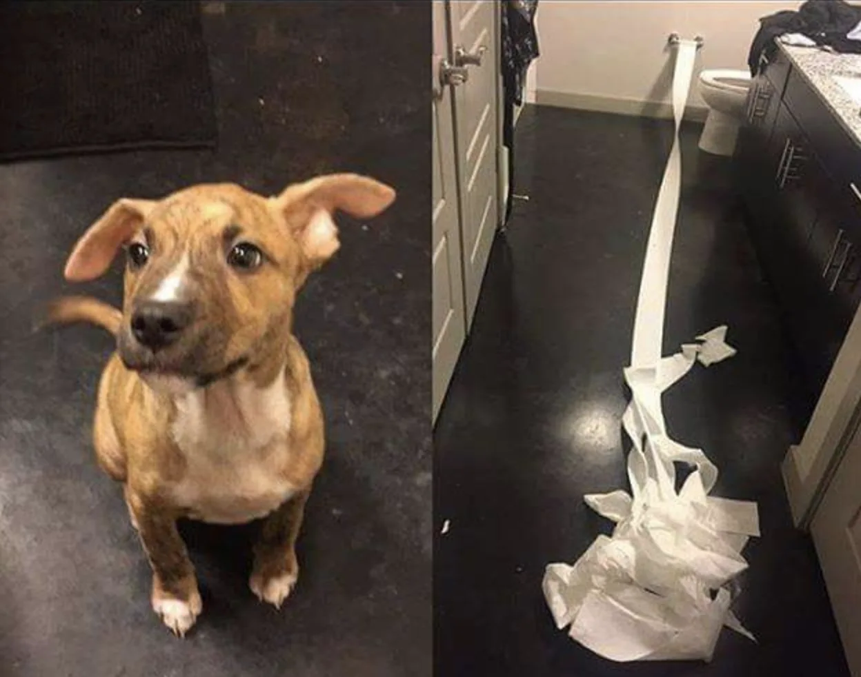Image credit: Reddit