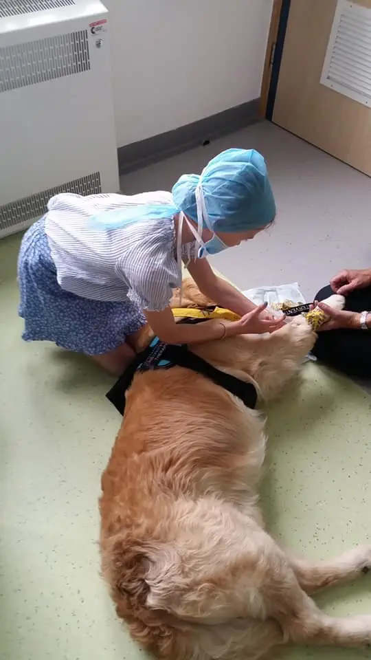 Image credit: Southampton Children's Hospital AAI Team