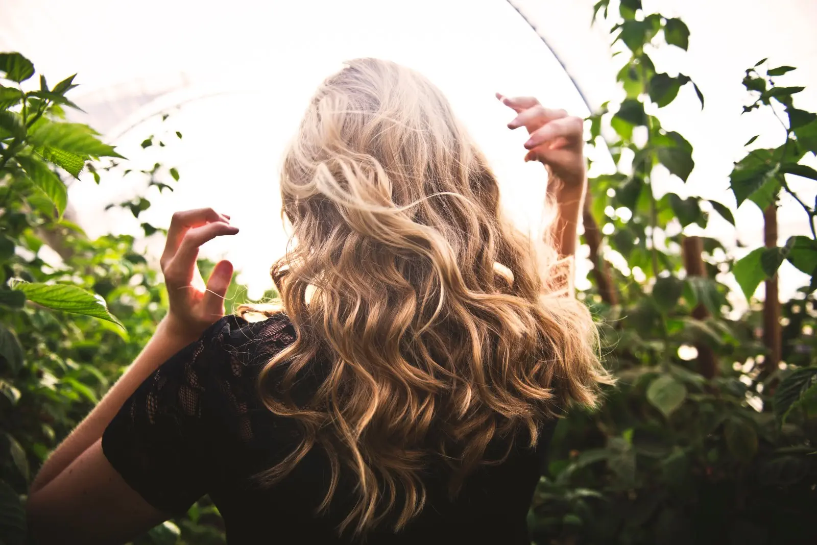 Image credit: Unsplash | Tim Mossholder