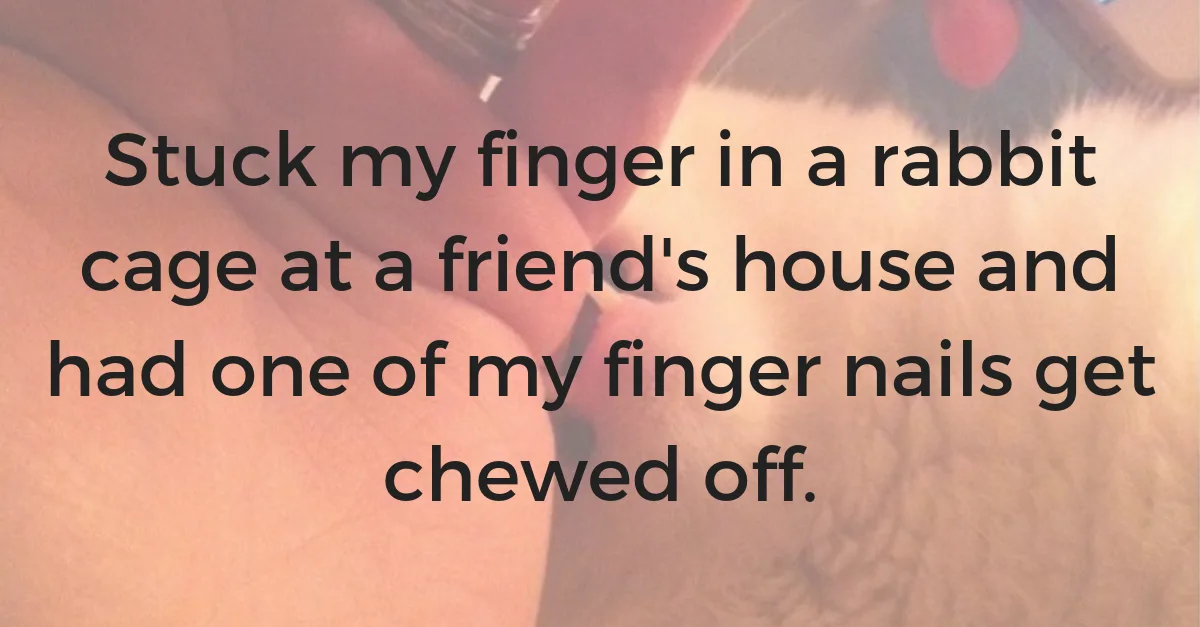 Image credit: Reddit | leannebrown86