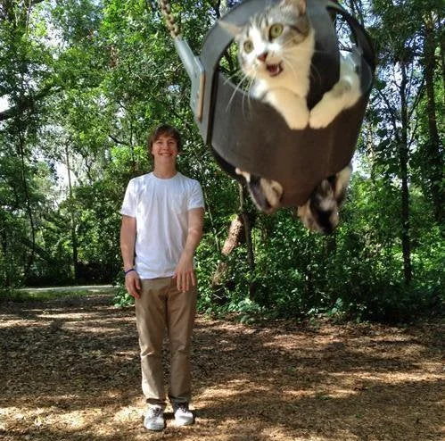 Image credit: Reddit | DocPhillips