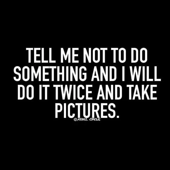 Image credit: Instagram | @rebel_circus