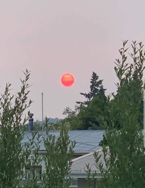 Image credit: Reddit | ciderswiller