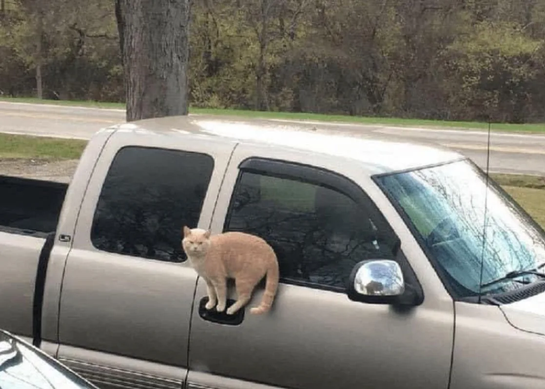 Image credit: Reddit | Gegenuebertragung