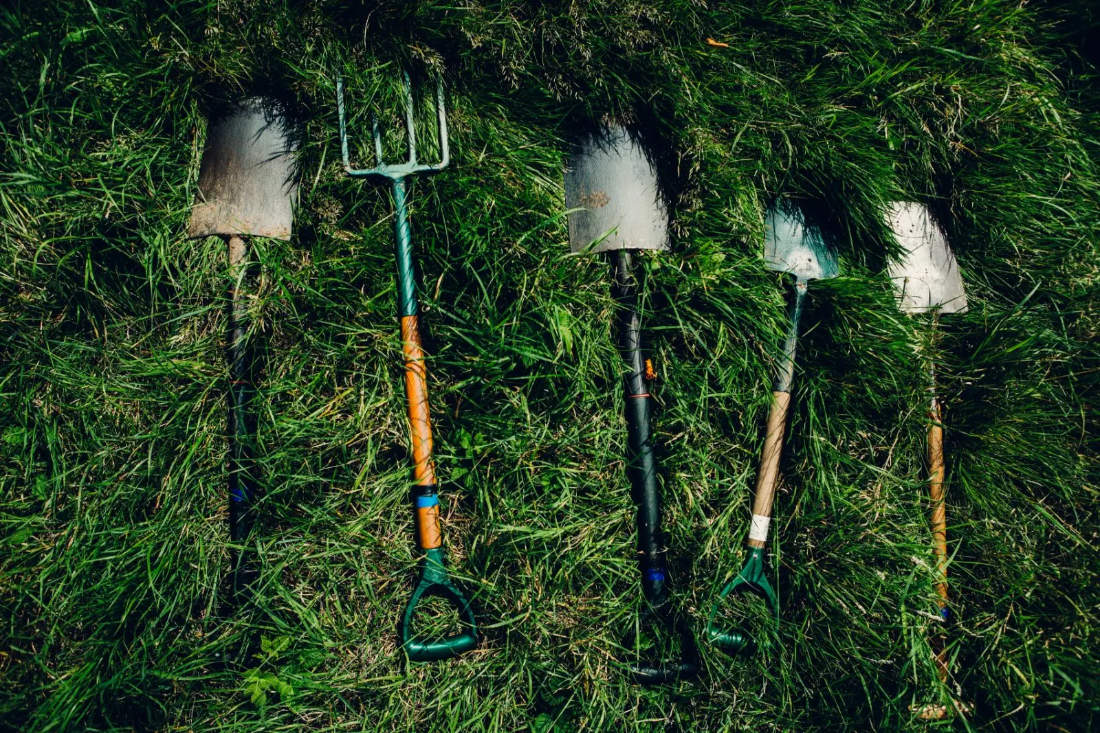 Image credit: Unsplash | dylan nolte