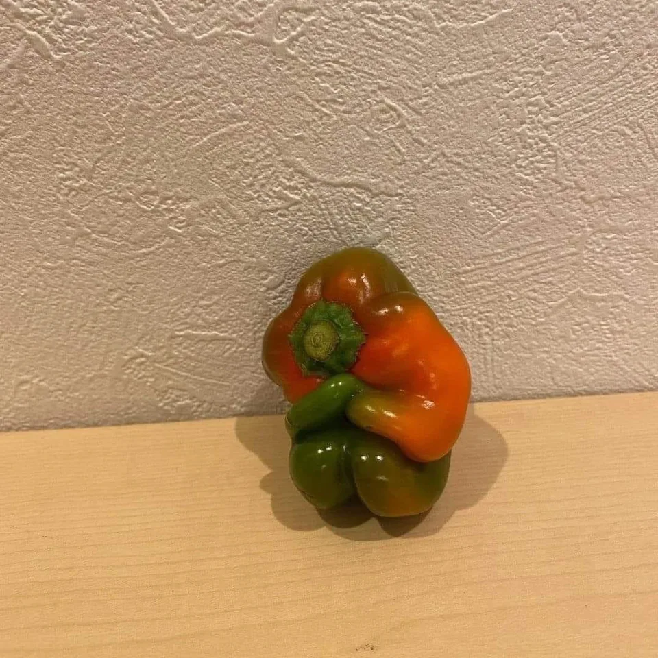 Image credit: Reddit | ponder2000