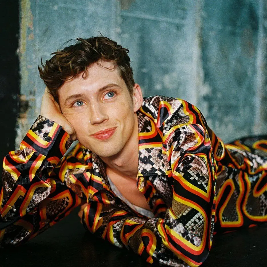 Image credit: Instagram | @troyesivan