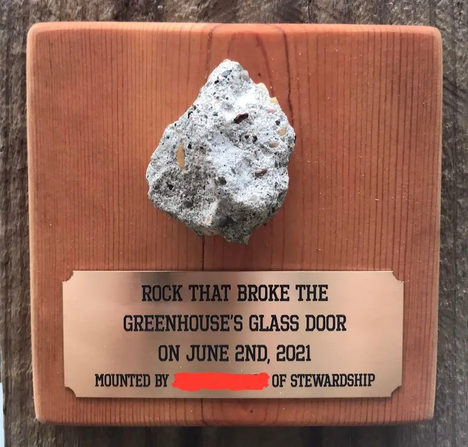 Image credit: Reddit | HandMadeFeelings