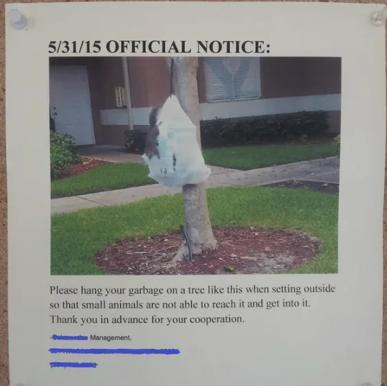 Image credit: Reddit | grdvrs
