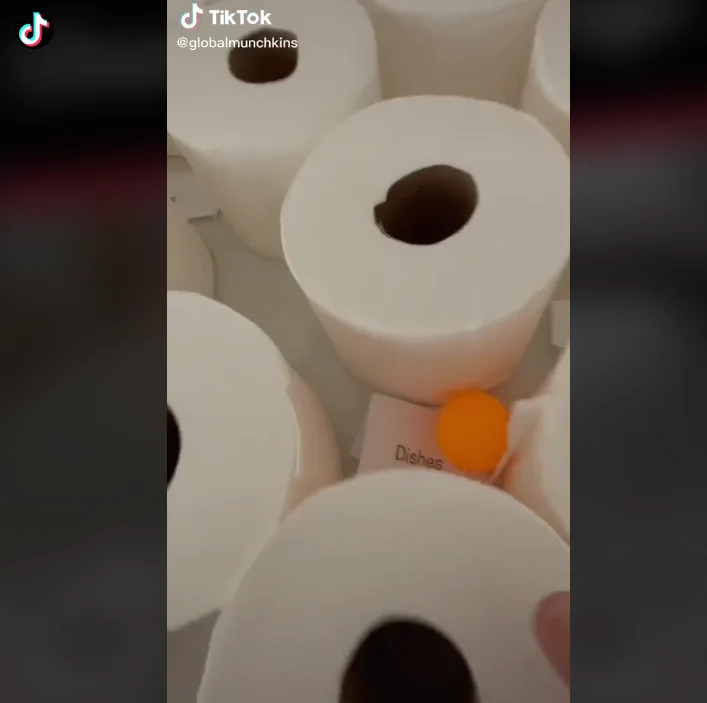 Image credit: TikTok | @globalmunchkins