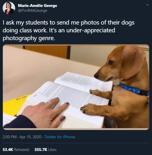 Image credit: Twitter | @ProfMAGeorge