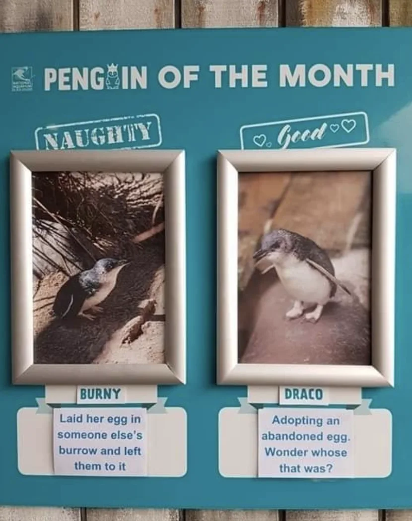 Image credit: Reddit | bryony_sian