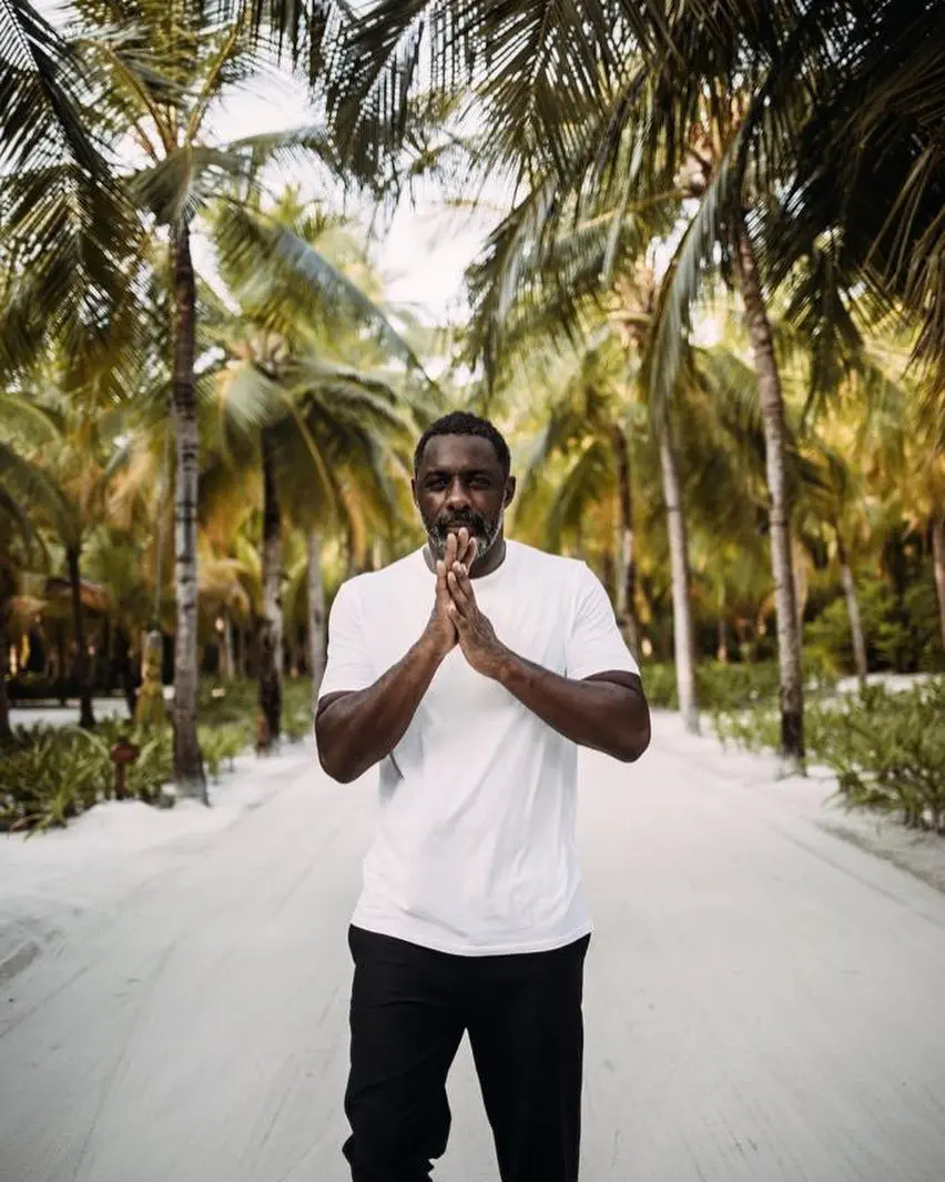 Image credit: Instagram | @idriselba