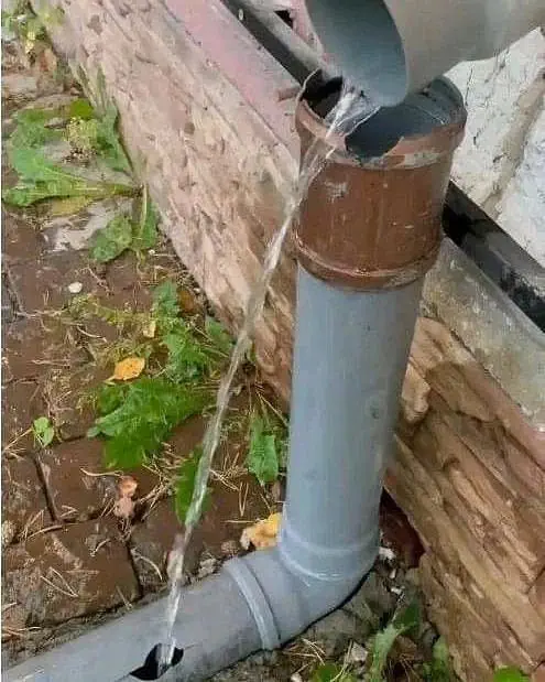 Image credit: Reddit | glowingass