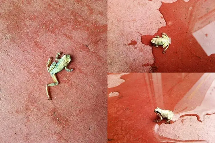 Image credit: Reddit | 9999monkeys