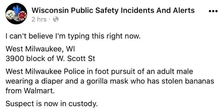 Image credit: Imgur | TryingToAdultButCantSendHelp