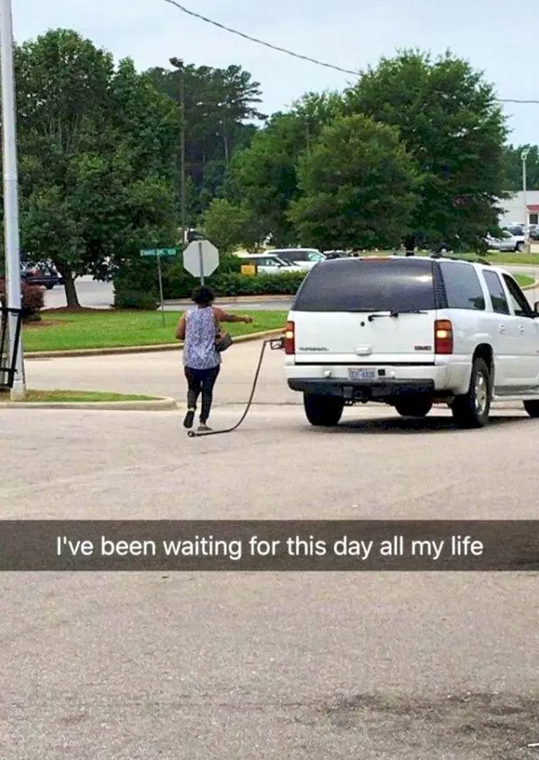 Image credit: The Chive