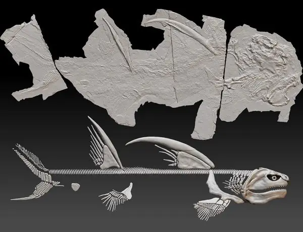Image credit: New Mexico Department of Cultural Affairs | Jesse Pruitt