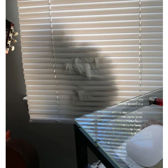 Image credit: Reddit | whistlewink