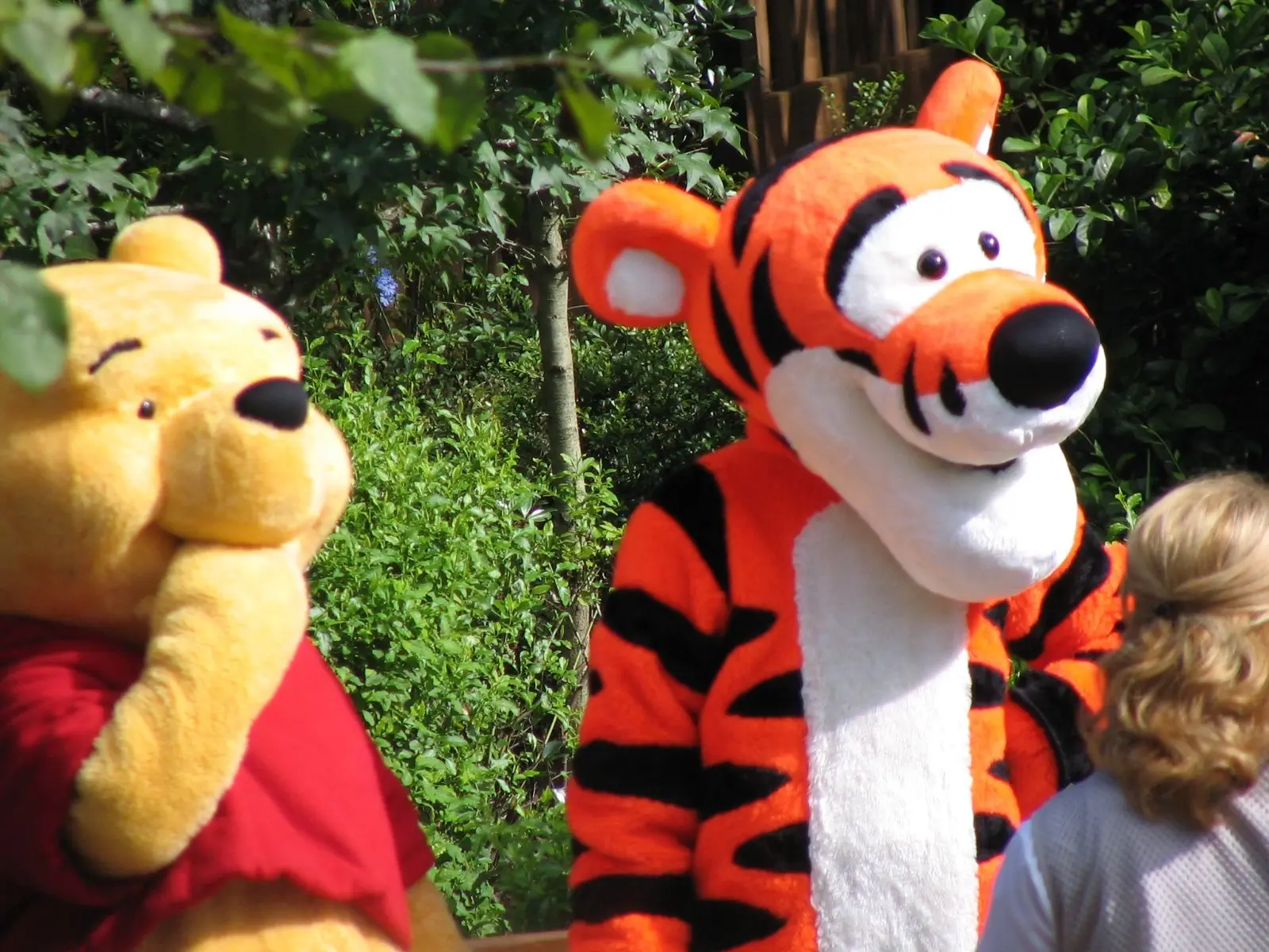 Image credit: https://diplycom5cc47.zapwp.com/q:i/r:0/wp:1/w:1/u:https://commons.wikimedia.org/wiki/File:Pooh_and_Tigger.jpg
