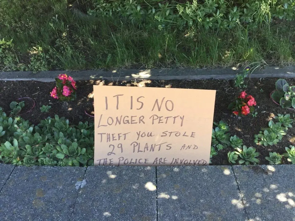 Image credit: Reddit | bobekyrant