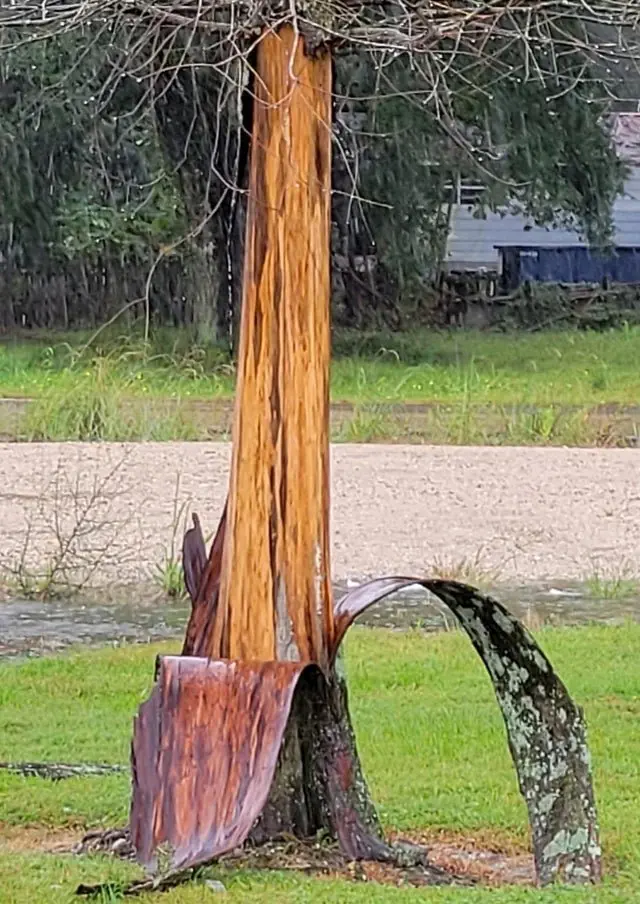 Image credit: Reddit | DanielHillSKW