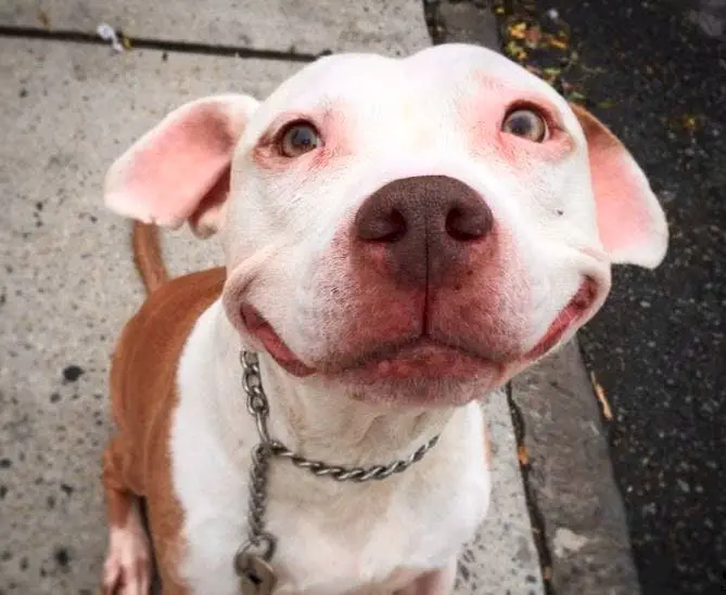 Image credit: Instagram | @smilingbrinks