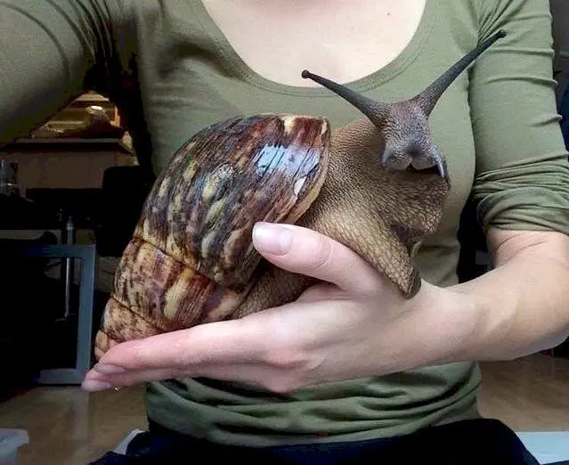 Image credit: Imgur | d88b