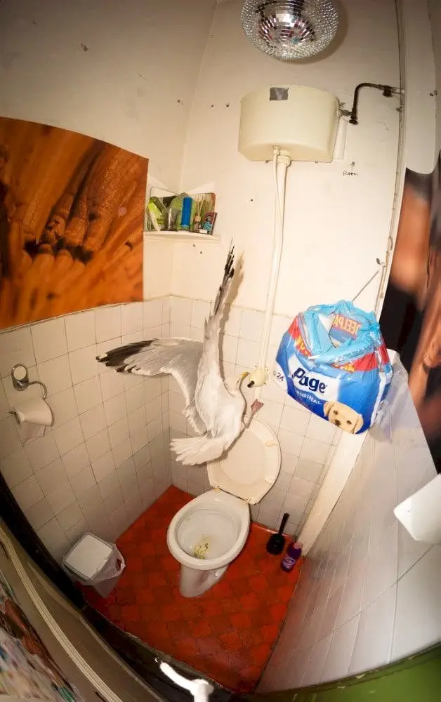 Image credit: Imgur | Imgur