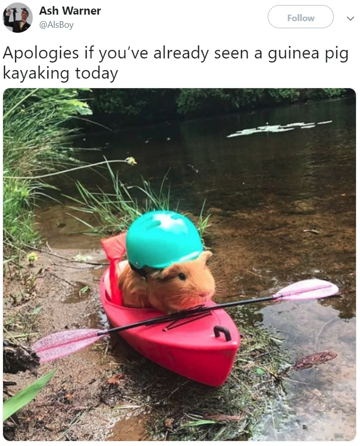 Image credit: Twitter | @AlsBoy
